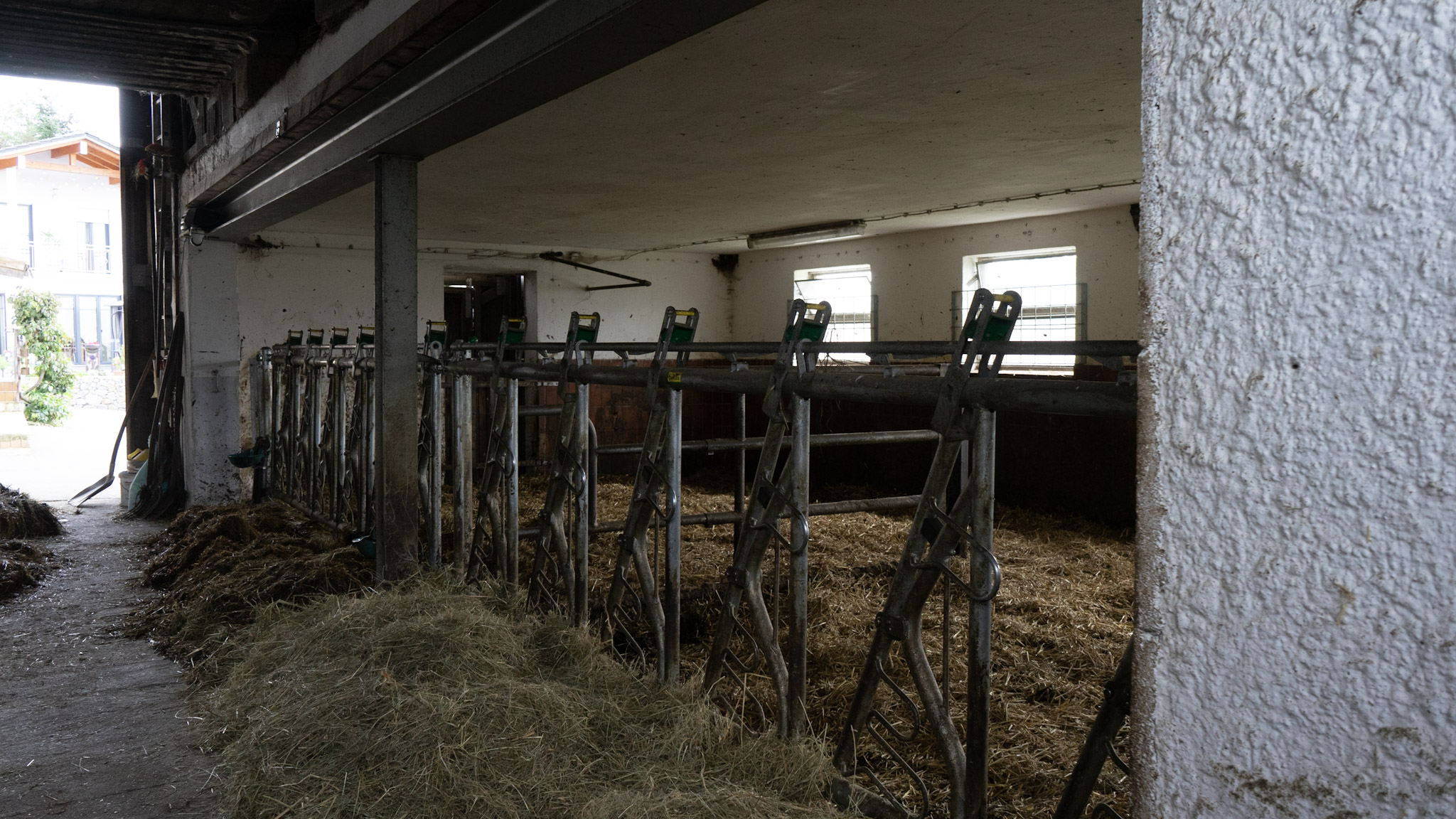 Stallinnenansicht
